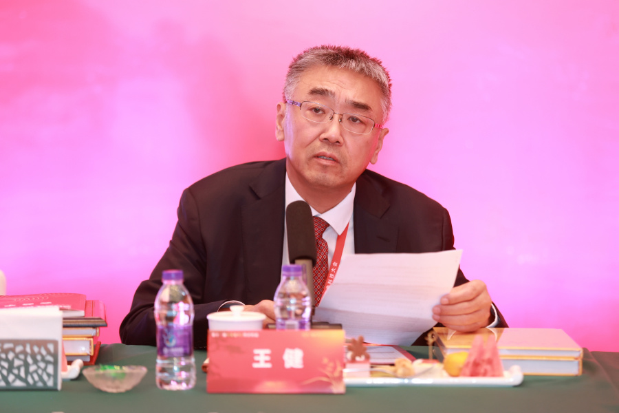 10.王健副会长兼秘书长致辞.jpg